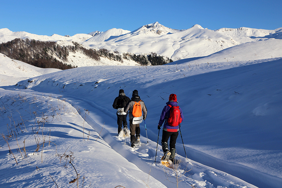 Походы в абхазии на Арабику (Арбаику) Походы по Абхазии