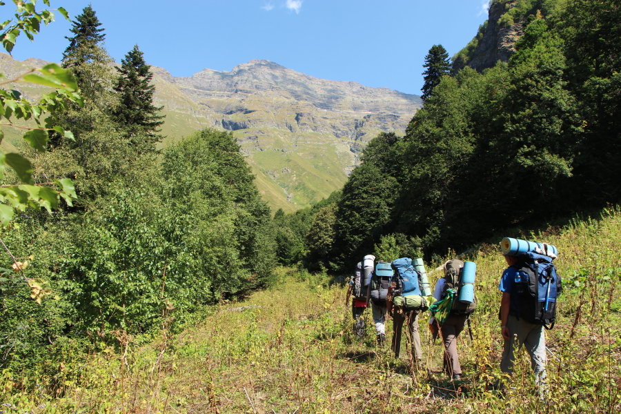 Поход на Агепсту