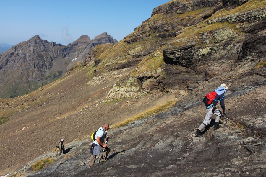 Поход на Агепсту