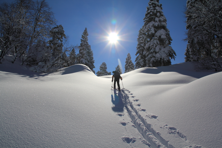 Скитур Красная Поляна Сочи Скитур Красная Поляна Сочи