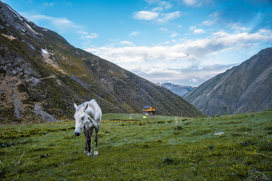 Автотур в Грузию Автотур в Грузию